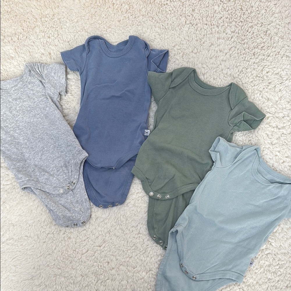 Set of Four Honest Baby Bodysuits in Blue, Green & Gray